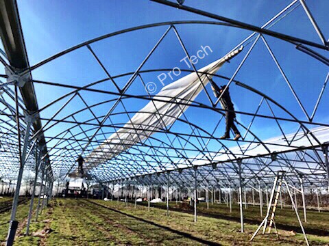 Greenhouse polythene, Protech greenhouse, commercial greenhouse