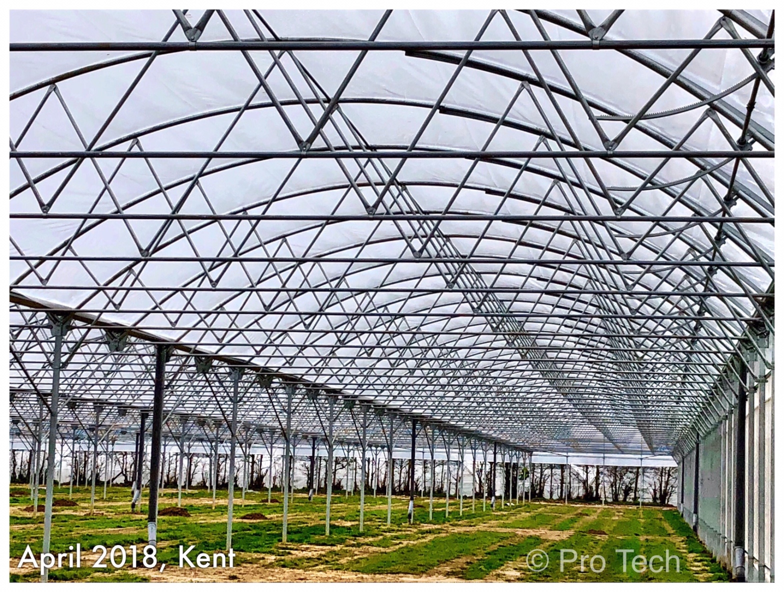 Protech, Greenhouse, Commercial greenhouse, climate control, rain water harvesting, drainage, greenhouse polythene, Kentish raspberry, Kent farming